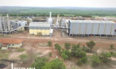 João Pinheiro/MG é a segunda maior região produtora de cana de MG