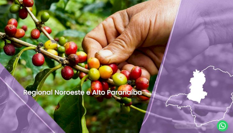 SEBRAE Regional Noroeste e Alto Paranaíba